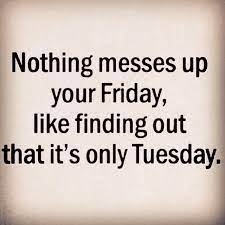 See more ideas about tuesday quotes, tuesday quotes funny, tuesday humor. Hilarious Tuesday Quotes Quotesgram