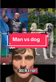 Brian Shaw Guard Dog