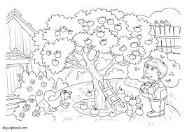 I had so much fun making this coloring sheet. An Apple Tree Life Cycle Free Printable Resources Buylapbook