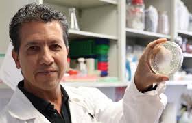 SARS-CoV-2 SARS-CoV-2