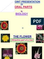 Which gumamela flower does the stigma feel sticky in a bud and in a withered onedoes the stigma feel sticky in the fresh gumamela flowercan a gumamela pollen be transferred to the stigma of another kind of flowerwhat. Parts Of Gumamela And Its Functions Petal Flowers