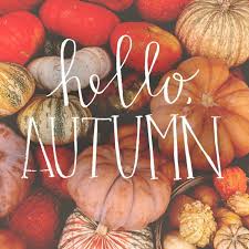 ❤ get the best cute fall wallpaper on wallpaperset. Autumn Fall And Pumpkin Image Cute Computer Backgrounds Fall 800x800 Wallpaper Teahub Io