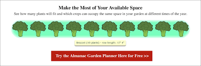 We did not find results for: Growing Broccoli Planting Growing And Harvesting Broccoli Plants The Old Farmer S Almanac