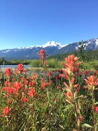 It is heartbreaking to share this with everyone, but I am sure there are  many here that would like to know, just in case they can make it to Ann's  Celebration of