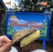 Review And Photos Chocolate Dipped Key Lime Pie At Blizzard Beach Water Park The Disney Food Blog Disney Food Food Disney Desserts