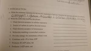 What is the chemical equation of cellular respiration? Solved Lab Instructor 1 Introduction Write The Summary E Chegg Com