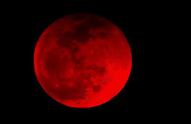 Some preacher types, most notably in the united. Blood Moon Bible Meaning Is The Super Blood Wolf Moon A Sign Of The Apocalypse Weird News Express Co Uk