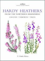 Named for donna cooper and bonus moms everywhere who raise other children as their own, who help your children when you can't, and who essentially are exactly of the village it takes xo. 31 Heather Ideas Heather Flower Tattoos Flower Tattoo