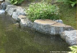 Neben Steinen Sollte Man Fur Tiere Auch Flache Zonen In Die Teichumrandung Integrieren Teichumrandung Gartenteich Bepflanzen Gartenteich