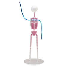Large Fast Figure Figurine Body Poseable Armatures Cake Figures