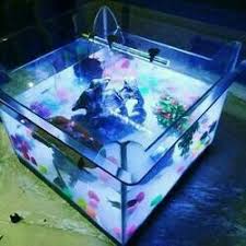 Check spelling or type a new query. Glass Coffee Table Fish Tank From Noida