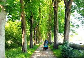 Romer Lippe Route Radtour Mit Kindern Von Paderborn Nach Hamm In 2020 Radtour Fahrradtour Radwege