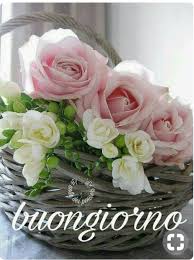 Pin Di Rita Canalella Su Buongiorno E Buonanotte Rose Belle Buongiorno Fiori Fiori
