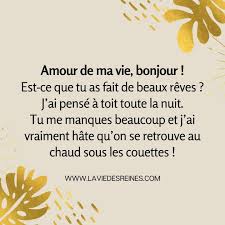 Si tu es une fille ici les mots d'amour bisou pour ton petit copain. 100 Sms Pour Dire Bonjour Mon Amour Embellissez Sa Journee