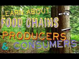 Youtube First Grade Science Science Activities 4th Grade Science