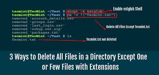 The innternet is slower and i dont like that. 3 Ways To Delete All Files In A Directory Except One Or Few Files With Extensions