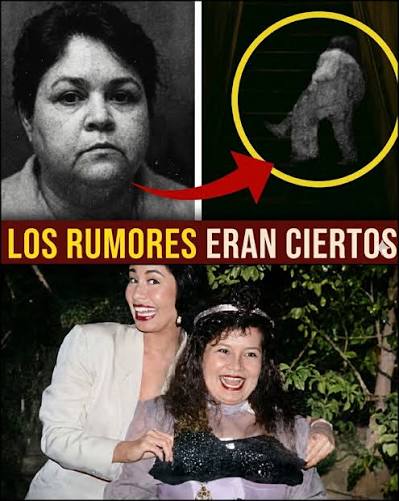 😰Yolanda Saldívar lo REVELA TODO: Selena no era... Ver más