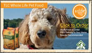 View more coupons for tractive. Toggle Navigation Copper Ridge Doodles The Choices Out There On What To Feed Your Dog Are Endless There S Canned Dry Homemade And Raw As Just To Name A Few And Along With Those Choices Comes A Lengthy List Of Pros And Cons Not To Mention All