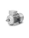 Three-phase electric motor SIEMENS 30Kw 40HP IE3 B3 foot 4 ...