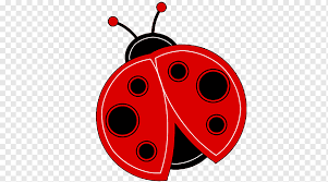 18,460 ladybug clip art images on gograph. Ladybird Free Content Free Ladybug S Sticker Cartoon Website Png Pngwing
