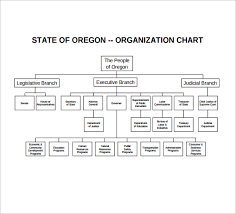 64 exhaustive non profit hierarchy chart