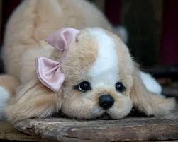 So Bow Tifully Cute Puppy Sevimli Kopek Yavrulari Yavru Kopek Hayvanlar