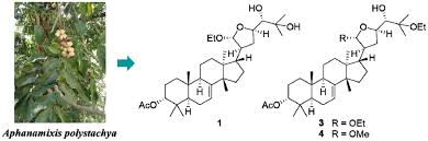 Image result for Aphanamixis