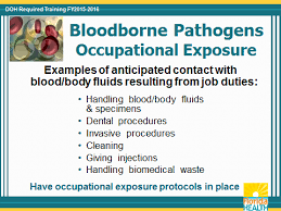 Purchase a second certificate for $12.00 and each thereafter is $6.00. Http Www Floridahealth Gov Alternatesites Doh Lms Resources Bbp Osha Fy15 16 Bbp Bbp Learner Guide Pdf