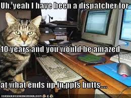 The brightest nihilist in your sky. Uh Yeah I Have Been A Dispatcher For 10 Years And You Would Be Amazed At What Ends Up In Ppls Butts Cheezburger Funny Memes Funny Pictures