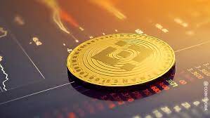 Binance Ceo Sets New Fashion Trend For Crypto Officials Coinquora