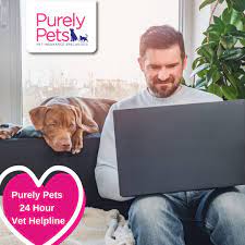 Business insurance enhances the continuity of your company and is significant for the protection of your employees. Purely Pets Insurance The Purely Pets 24 Hour Vet Helpline Is A Free Advice Line For All New And Renewing Purely Pets Customers The 24 Hour Vet Helpline Operates 24 Hours