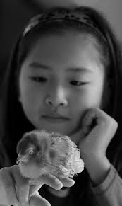 Future Of The Piermont Marsh