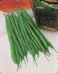 Haricot Nain Fin Triomphe De Farcy Sachet De 140 Graines A Cultiver