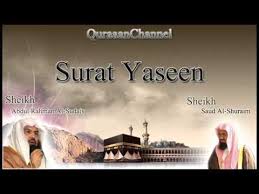 Surah yasin ini termasuk surat makiyyah, artinya surat ini diturunkan di mekkah sebelum nabi muhammad saw hijrah ke madinah. 36 Surat Yasin Full With Audio English Translation Sheikh Sudais Shuraim Youtube