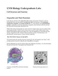 You will use these images to complete this worksheet. Cell Structure And Function E Ctlt