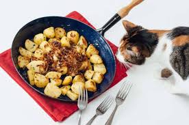 Le patate crude o poco cotte non devono essere date al gatto. Il Gatto Puo Mangiare La Patata Dalla Buccia Alla Patata Cruda