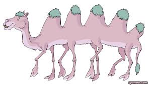 Alice the camel more kids songs super simple songs. Restoration Hardware Mama Momtourage