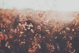 Aesthetic background grunge hipster indie pale pastel pastel. Vintage Aesthetic Computer Wallpapers Top Free Vintage Aesthetic Computer Backgrounds Wallpaperaccess