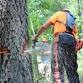 Tree Felling Workshop event in Seneca, SC