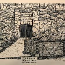 Chris Kelly Opinion: Old Forge artist plumbs lines and mines