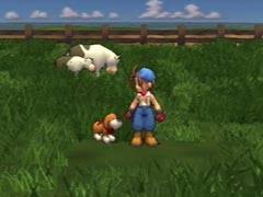 Save the homeland for playstation 2. Walkthrough Gamer Harvest Moon Save The Homeland