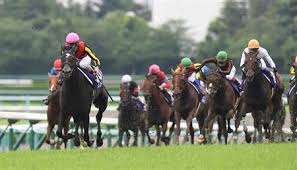 2:38 シネマトゥデイ recommended for you. å®å¡šè¨˜å¿µ ã‚¯ãƒ­ãƒŽã‚¸ã‚§ãƒã‚·ã‚¹ãŒå²ä¸Šæœ€å¤§ ï¼–é¦¬èº«å·®ï½– ã‚µãƒ³ã‚¹ãƒzbat ç«¶é¦¬