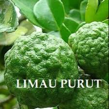 We did not find results for: Limau Purut Pokok Limau Purut Benih Limau Purut Shopee Malaysia