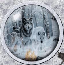 White wolf howls in the forest against the backdrop of a pine tree. Wolves Gif Download Share On Phoneky