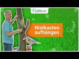Die ausrichtung des einfluglochs sollte südöstlich sein und der platz nicht in der prallen sonne liegen. Nistkasten Aufhangen Eine Anleitung Youtube