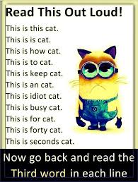 Find your favorite romantic joke for girlfriend! Funny Jokes To Tell 15 Funny Minion Memes Weird Quotes Funny Some Funny Jokes