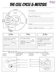Cell Cycle Mitosis Notes And Microscope Lab Biology Lessons Science Cells Cell Cycle