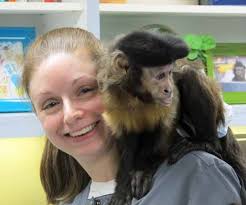 Amateur Classical Musicians Get Rare Chance To Take Stage At Symphony Hall 