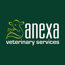 Anexa Vets Raglan