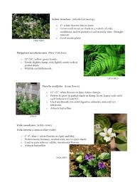 We did not find results for: Pennsylvania Native Plants For Rain Gardens